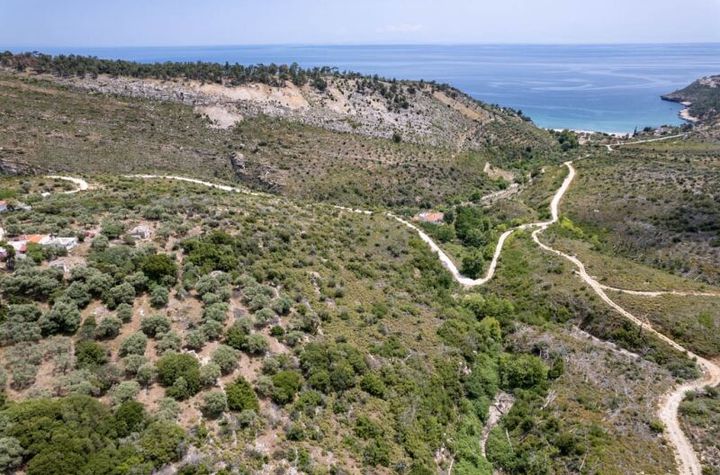 Teren construibil 7100 mp în Thimonia, Thassos anunturi imobiliare Grecia