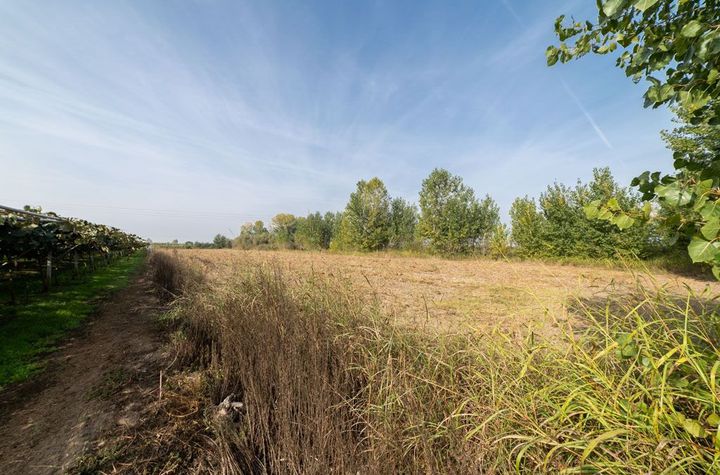 Teren agricol 9.588 mp în Chrisochori, pachet 2 loturi anunturi imobiliare Grecia