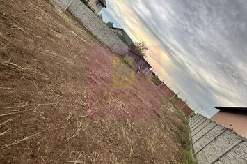 Teren Domnesti- strada Fortului. anunturi imobiliare Bucuresti