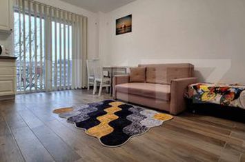 Garsonieră de vanzare APAHIDA - Cluj anunturi imobiliare Cluj