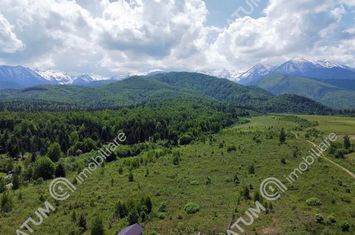 Teren Intravilan de vanzare AVRIG - Sibiu anunturi imobiliare Sibiu