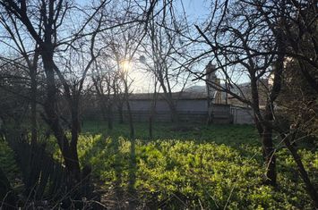 Teren de vanzare BAIA MARE - Maramures anunturi imobiliare Maramures