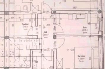 Vilă - 3 camere de vanzare PLOPI - Timis anunturi imobiliare Timis