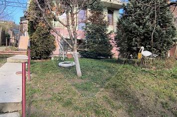 Apartament 3 camere de inchiriat în zona Dambul Rotund anunturi imobiliare Cluj