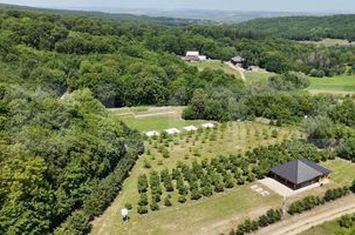 Teren de vanzare SUCEAVA - Suceava anunturi imobiliare Suceava