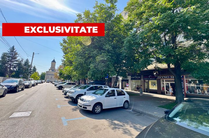 Spațiu comercial de inchiriat HALA CENTRALA - Iasi anunturi imobiliare Iasi