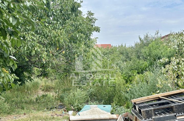 Teren 1084 mp in Dumbravita, vatra satului anunturi imobiliare Timis