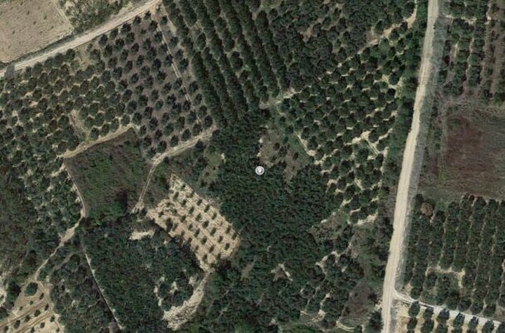 Teren 4000 mp în Akropotamos, Kavala anunturi imobiliare Grecia