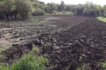 Teren 1249 MP - Coldau anunturi imobiliare Bistrita Nasaud