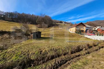 Teren de vanzare CAMPENI - Alba anunturi imobiliare Alba