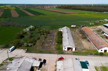 Spațiu depozitare 734mp și teren de 7.844mp Macea anunturi imobiliare Arad