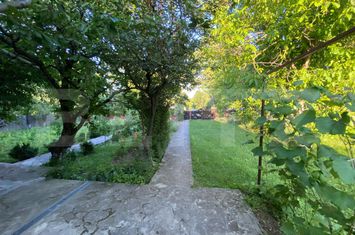 Casă - 3 camere de vanzare PAUN - Iasi anunturi imobiliare Iasi