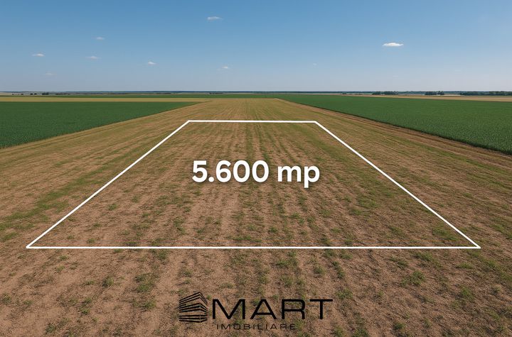 Teren de vanzare DAIA ROMANA - Alba anunturi imobiliare Alba