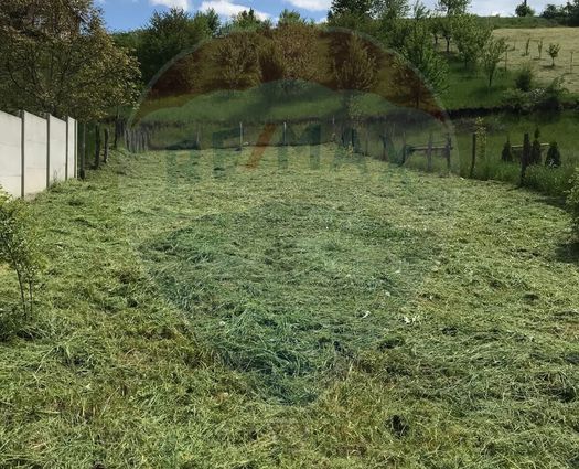 Teren Intravilan Sura Mare, 500 mp