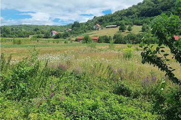 Teren Intravilan de vanzare CALIMANESTI - Valcea anunturi imobiliare Valcea