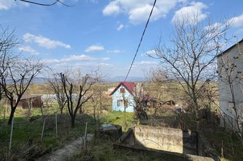 Vilă - 3 camere de vanzare COLTAU - Maramures anunturi imobiliare Maramures