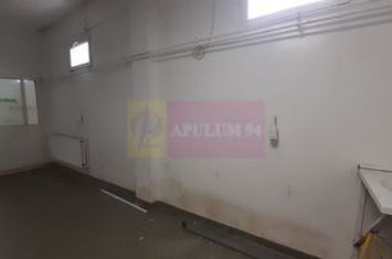 Spațiu producție, depozitare pretabil activități diverse anunturi imobiliare Bucuresti