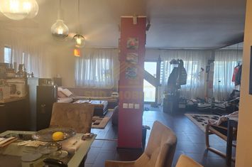 VILA P+1 INDIVIDUALA-MEGA IMAGE PRIMARIE anunturi imobiliare Bucuresti