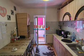 Apartament 2 camere de vanzare CETATE - Alba anunturi imobiliare Alba