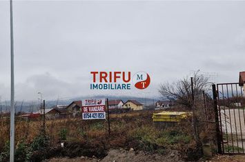 Teren Intravilan de vanzare CETATE - Alba anunturi imobiliare Alba