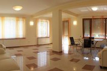SNAGOV vila foarte spatioasa, curte amenajata, garaj, panouri fotovoltaice anunturi imobiliare Bucuresti