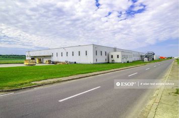 Spațiu industrial de inchiriat VIDRASAU - Mures anunturi imobiliare Mures