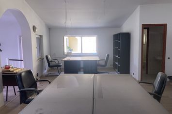Vilă - 4 camere de inchiriat FLOREASCA - Bucuresti anunturi imobiliare Bucuresti
