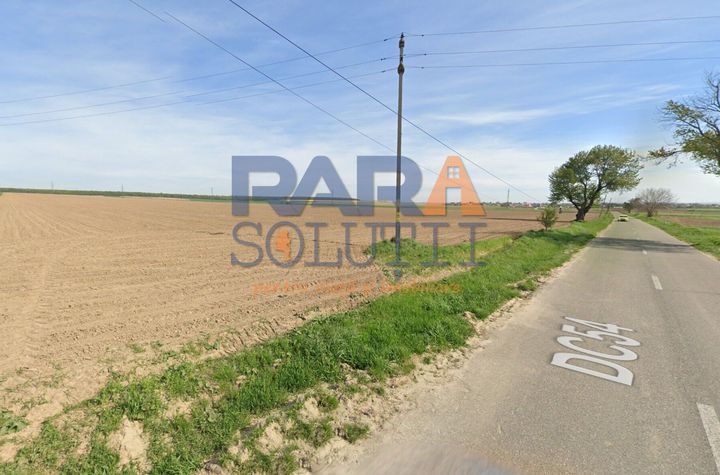 Teren 20.000 mp - perfect plan, compact, deschidere = 40 metri anunturi imobiliare Neamt