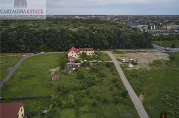 Teren Intravilan de vanzare PIPERA - Bucuresti anunturi imobiliare Bucuresti
