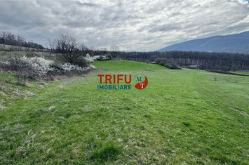 Teren Intravilan de vanzare AMPOITA - Alba anunturi imobiliare Alba