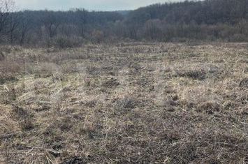 Teren de vanzare PALEU - Bihor anunturi imobiliare Bihor