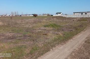 Teren  intravilan 465mp Str Lebedelor Comuna Berceni anunturi imobiliare Bucuresti