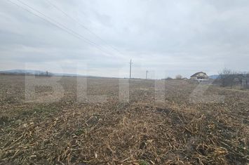Teren de vanzare OCNA MURES - Alba anunturi imobiliare Alba