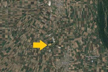 Teren agricol 14.718 mp în Chrisochori, Nestos anunturi imobiliare Grecia
