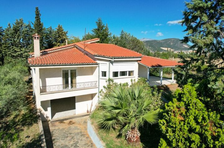 Casă individuală 142 mp pe teren 3.450 mp, Drama anunturi imobiliare Grecia