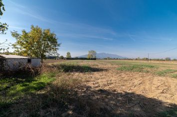 Teren construibil 7.444,17 mp în Dato, Kavala anunturi imobiliare Grecia