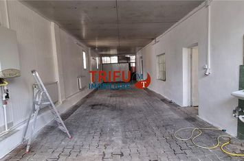 Spațiu industrial de inchiriat CETATE - Alba anunturi imobiliare Alba