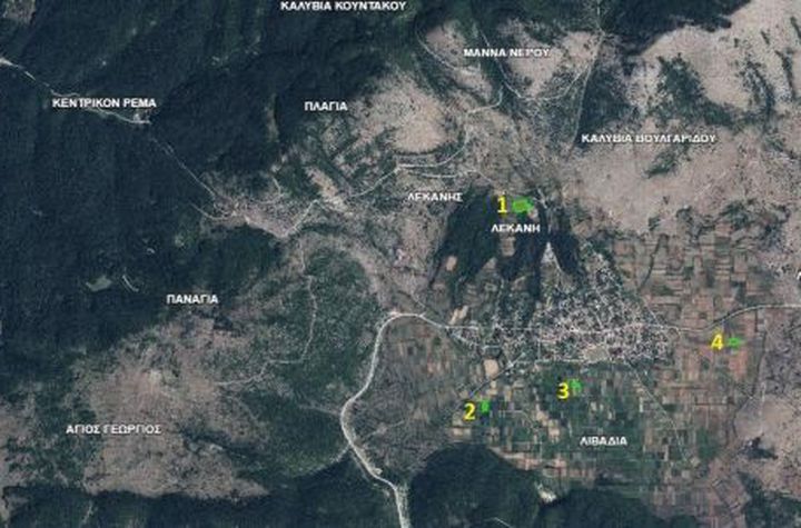 Pachet de 7 terenuri în Lekani (12.612 mp) anunturi imobiliare Grecia