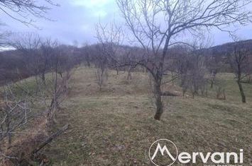 Teren Intravilan de vanzare COMARNIC - Prahova anunturi imobiliare Prahova