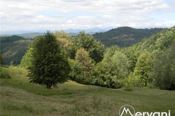 Teren Intravilan de vanzare TELEGA - Prahova anunturi imobiliare Prahova