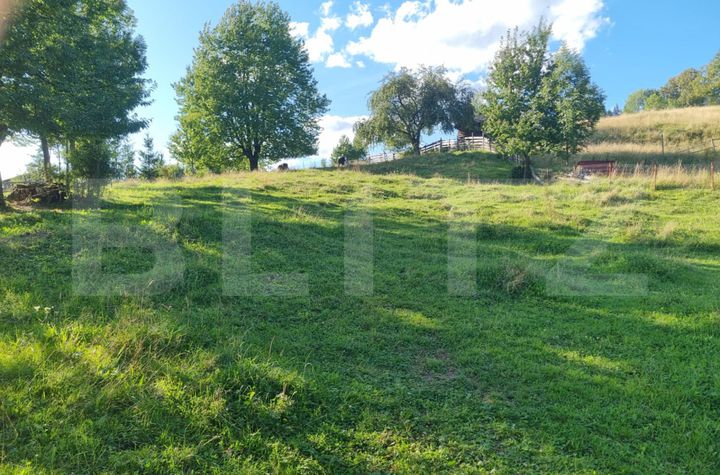 Teren de vanzare SUCEAVA - Suceava anunturi imobiliare Suceava