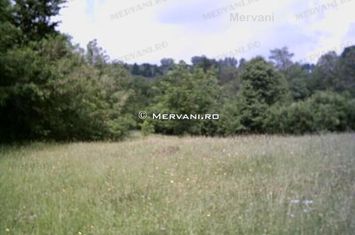Teren de vânzare în Câmpina (zona semicentrală) anunturi imobiliare Prahova