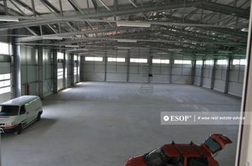 Spațiu industrial de vanzare PANTELIMON - Bucuresti anunturi imobiliare Bucuresti