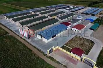 *Fermă modernă pentru export miei | 6 ha | Standarde europene | Aproape de Brăila* anunturi imobiliare Braila