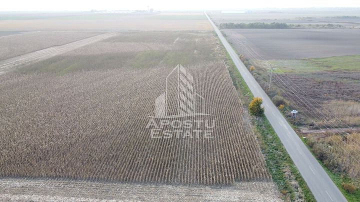 Teren 50.000 mp, industrial, in vecinatatea FRIGOGLASS- SAG. anunturi imobiliare Timis