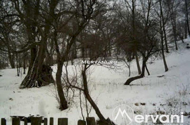 Teren Intravilan de vanzare BREAZA - Prahova anunturi imobiliare Prahova