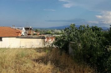 Teren construibil 902 mp în Zarkadia Nestou anunturi imobiliare Grecia