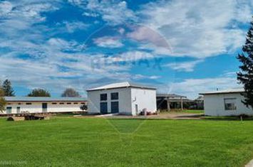 Teren Industrial de Vânzare 4.4 Ha - Zona industrială - Hârlău anunturi imobiliare Iasi