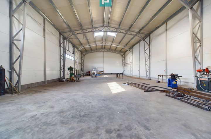 Hală 360mp producție depozitare zona Exterior Nord anunturi imobiliare Timis
