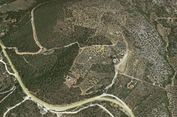 Teren construibil 7411 mp în Limenaria, Thassos anunturi imobiliare Grecia